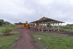 imagen-5