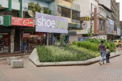 3 REHABILITACIÓN DE LA PEATONAL DE LA AV. CENTRAL