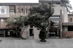 imagen-3