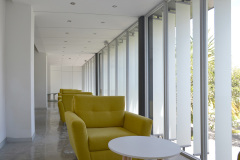 imagen-6