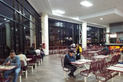imagen-11