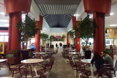 imagen-13