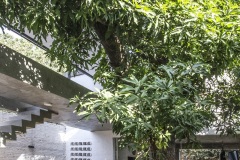 imagen-2