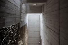imagen-6