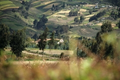 hacienda san luis terminada 005