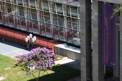 Biblioteca Municipal Mario Andrade 010