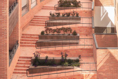 imagen-5