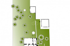 PLANTA SAL DE MAR