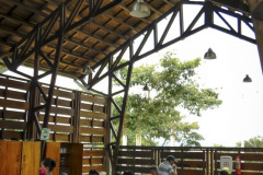 imagen-8