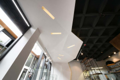 imagen-5