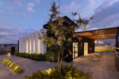 imagen-1