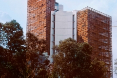 Lamina A0
