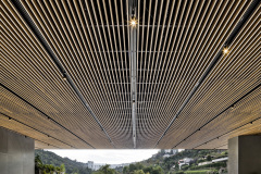 5f748bc8d6fbaSequoia_06_©César_Bejar