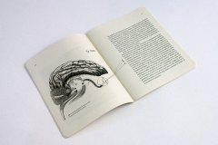 01-publ-transitos-y-fragmentos_img_05