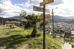 Mirador Las Palmeras