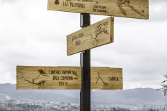 Mirador Las Palmeras