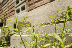 DETALLE DE MURO 2