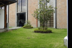 EG_276136