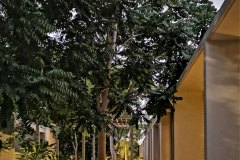 05-vivienda-multifamiliar-villas-paralelas_img_03