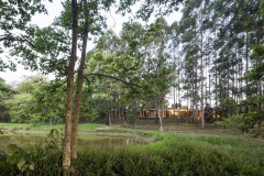 imagen-6