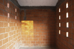 imagen-10