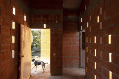 imagen-8